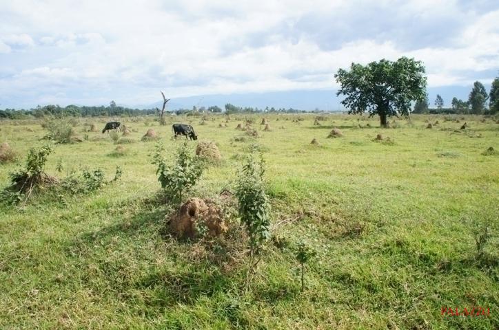 Fazenda à venda com 1 quarto, 800000m² - Foto 8