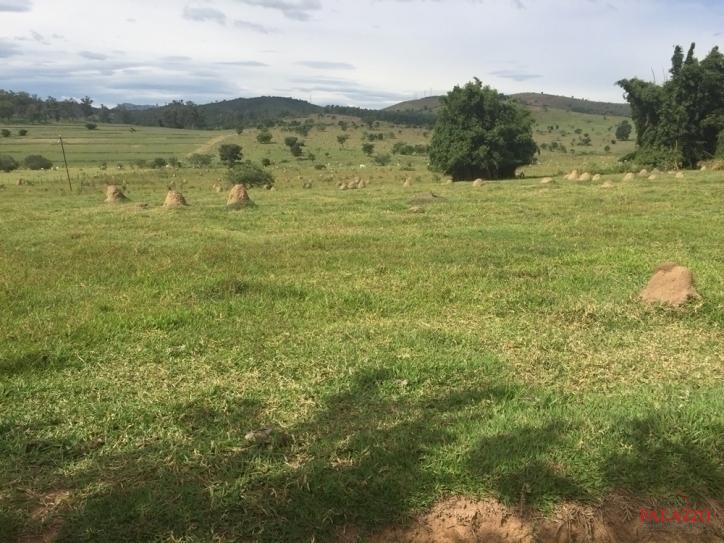 Fazenda à venda com 1 quarto, 800000m² - Foto 7