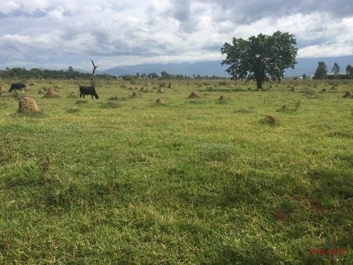 Fazenda à venda com 1 quarto, 800000m² - Foto 22