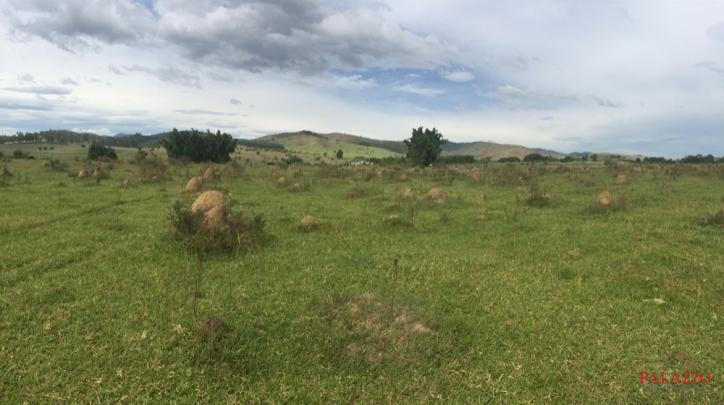 Fazenda à venda com 1 quarto, 800000m² - Foto 26