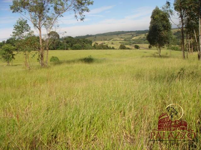 Terreno à venda, 212000m² - Foto 3