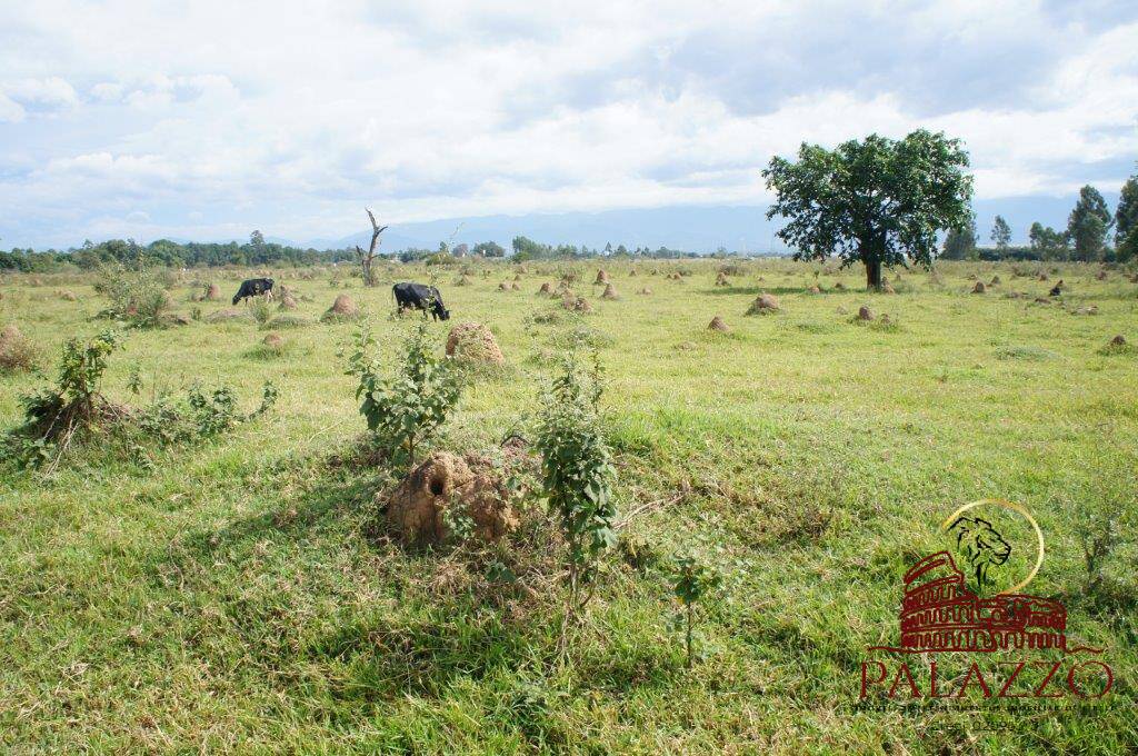 Terreno à venda, 800000m² - Foto 2