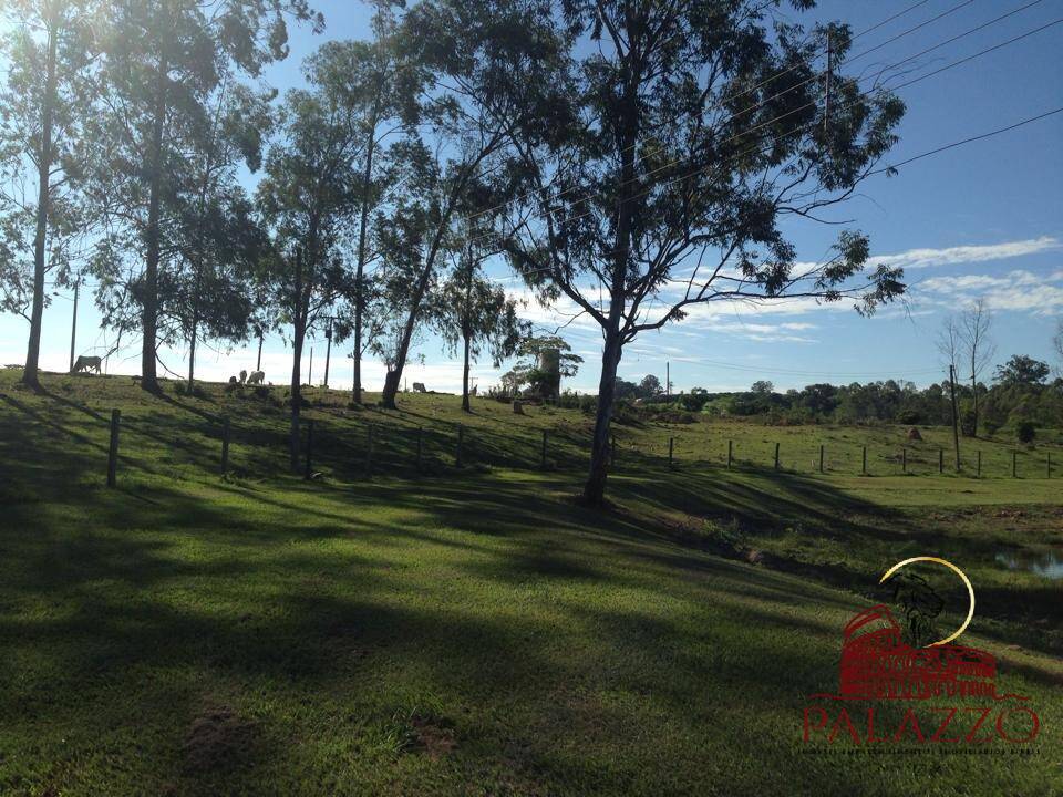 Fazenda à venda com 3 quartos, 266000m² - Foto 7